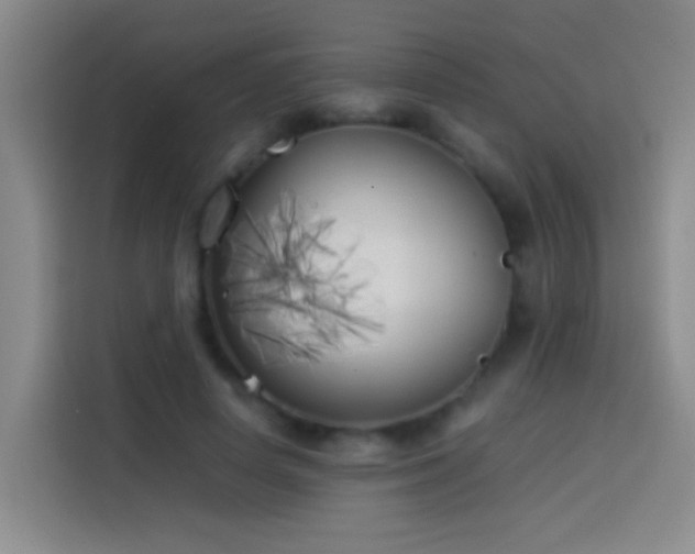 X0000113890642200910011323