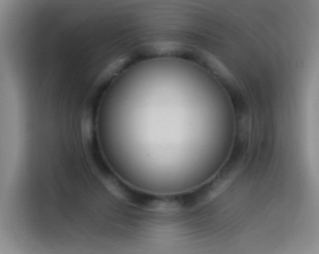 X0000113890644200910011323