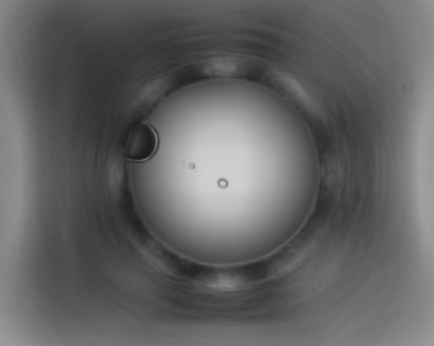 X0000113890645200910011323