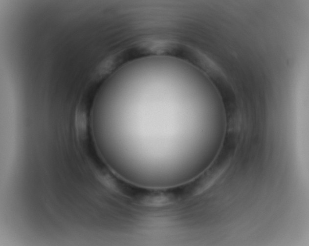 X0000113890646200910011323