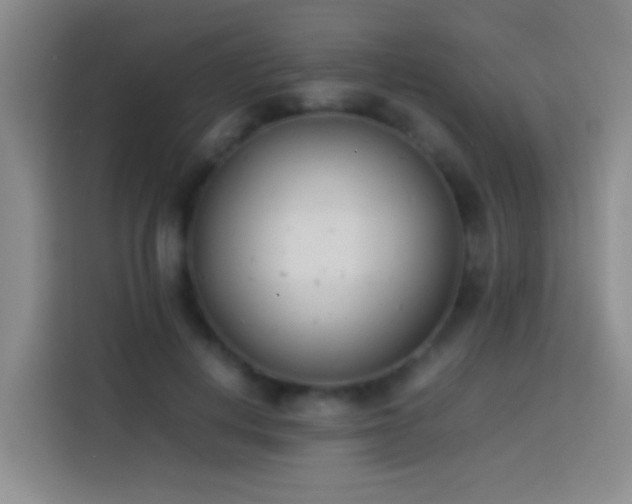 X0000113890648200910011323