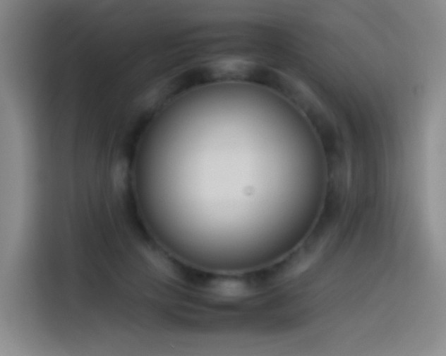 X0000113890649200910011323