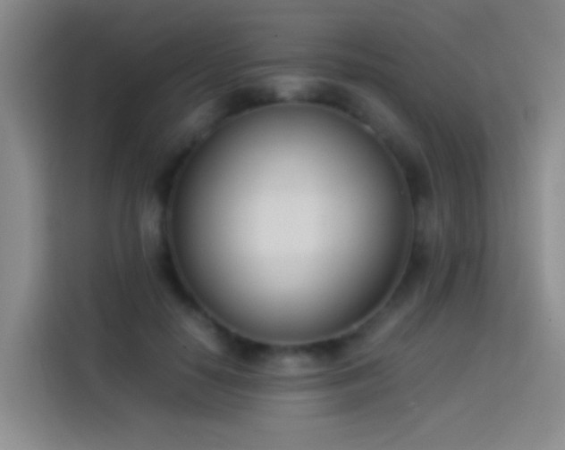 X0000113890650200910011323