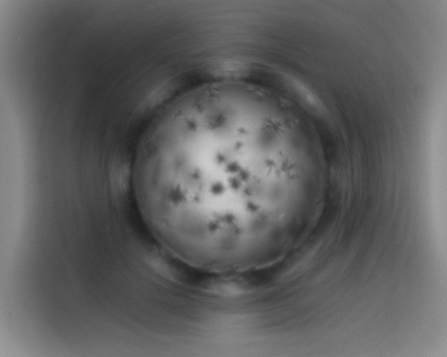 X0000113890652200910011323