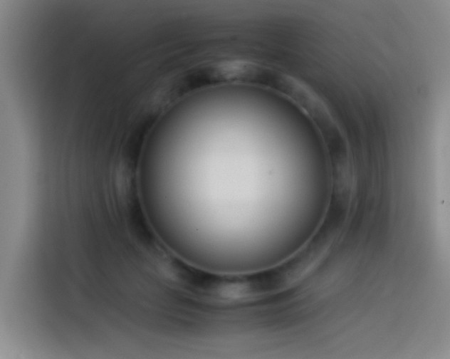 X0000113890653200910011323