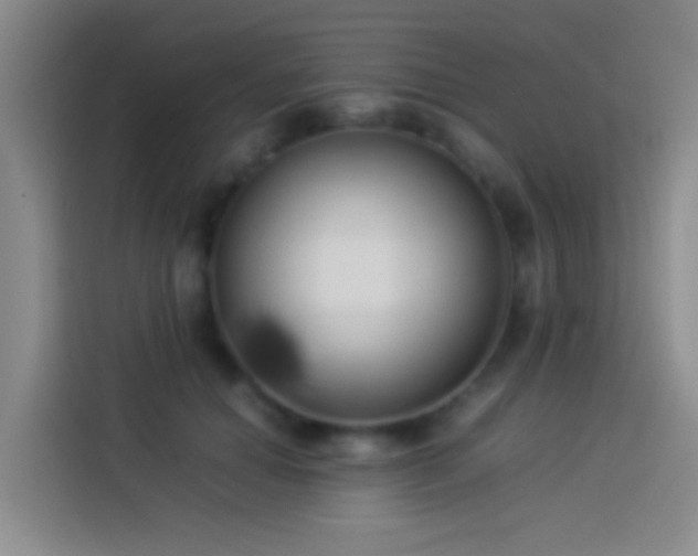 X0000113890654200910011323