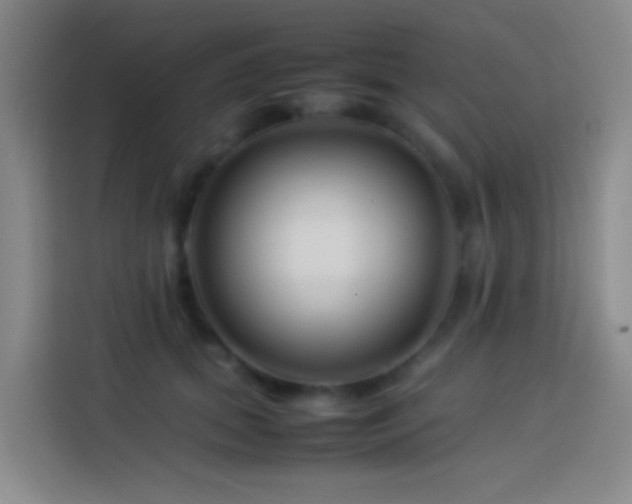 X0000113890655200910011323