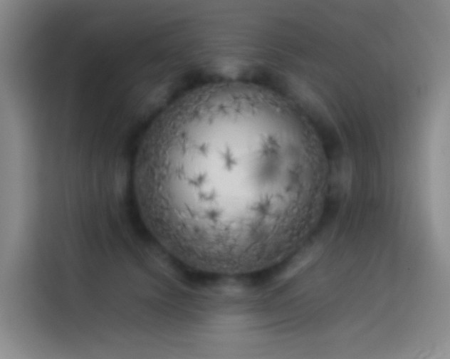 X0000113890656200910011323
