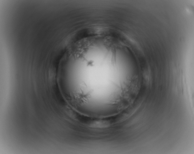 X0000113890657200910011323