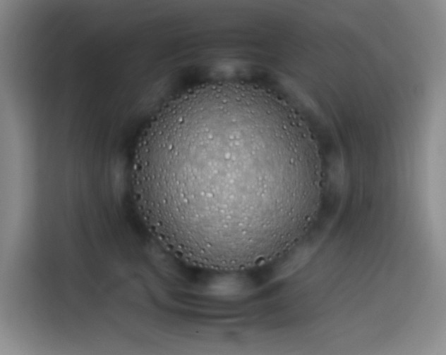 X0000113890659200910011323