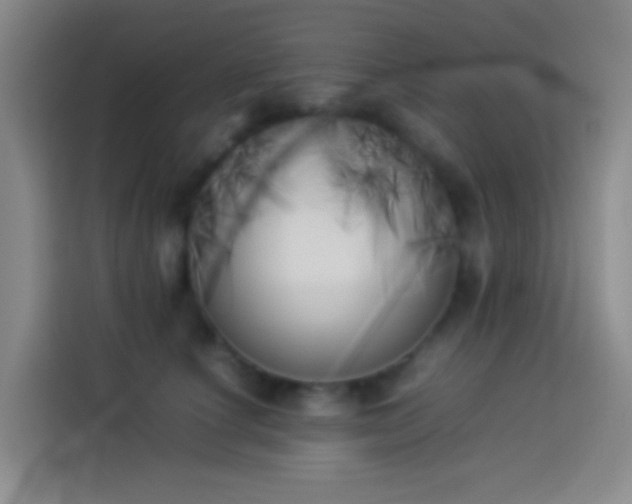 X0000113890660200910011324