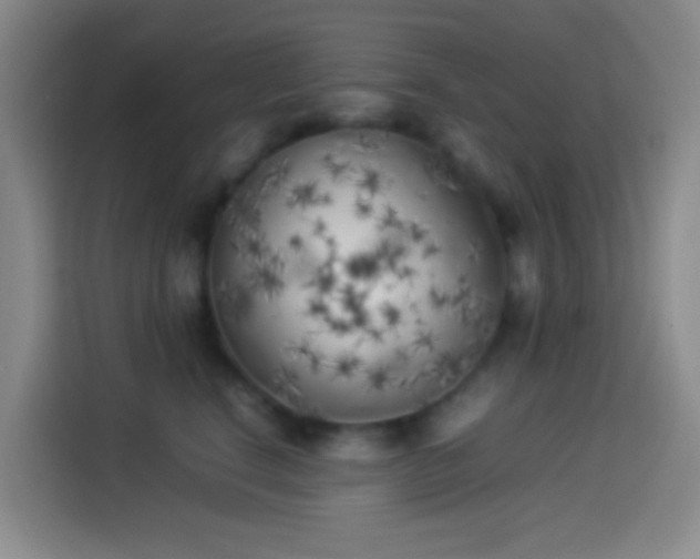 X0000113890664200910011324