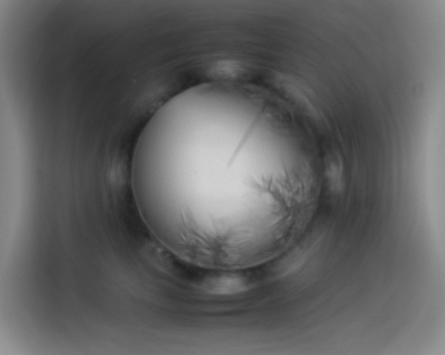 X0000113890665200910011324