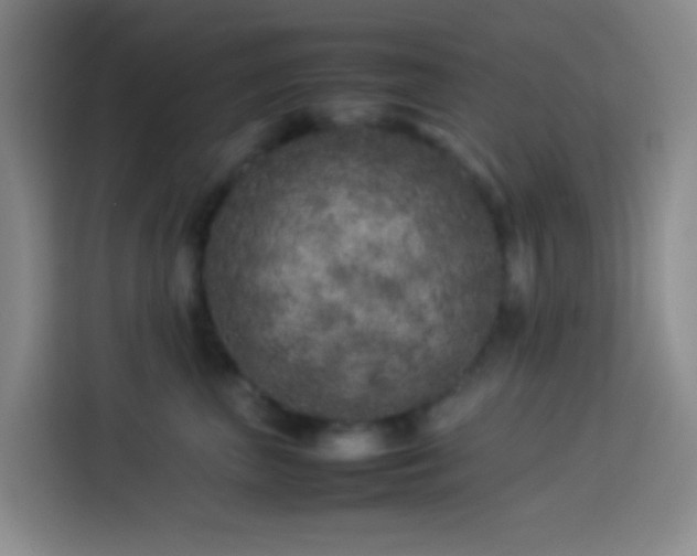 X0000113890667200910011324