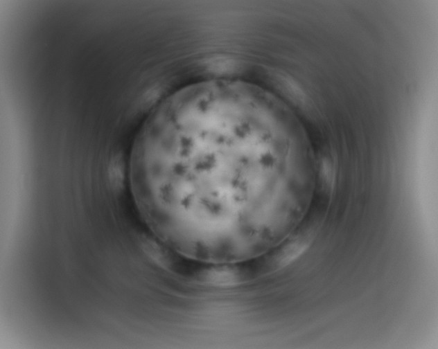 X0000113890668200910011324