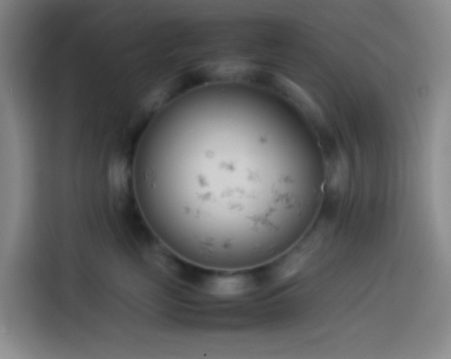 X0000113890669200910011324