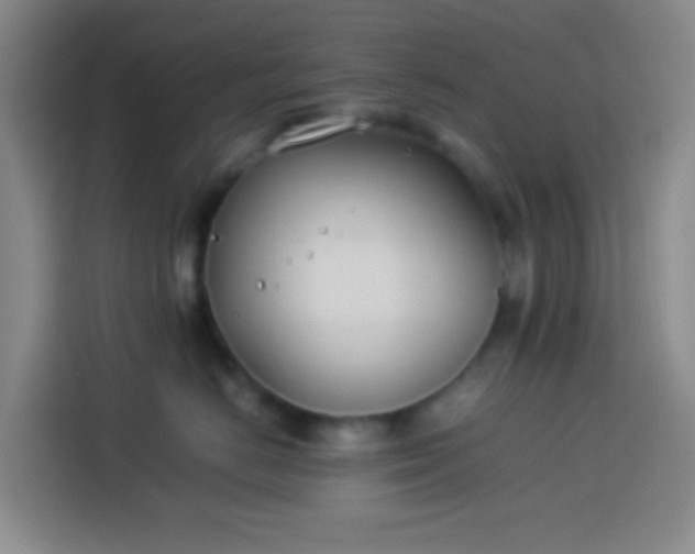 X0000113890670200910011324