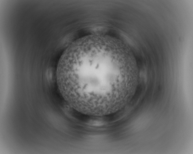 X0000113890671200910011324