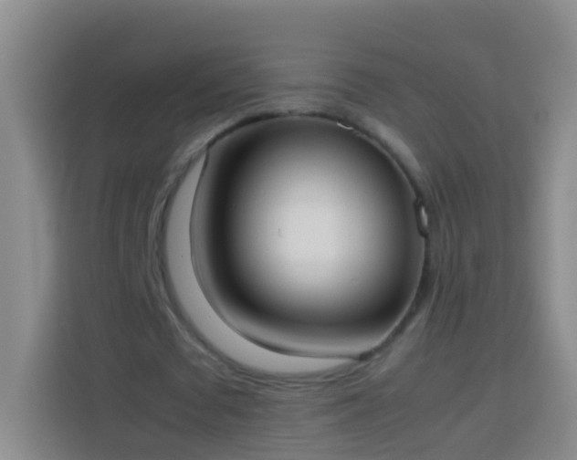 X0000113890673200910011323