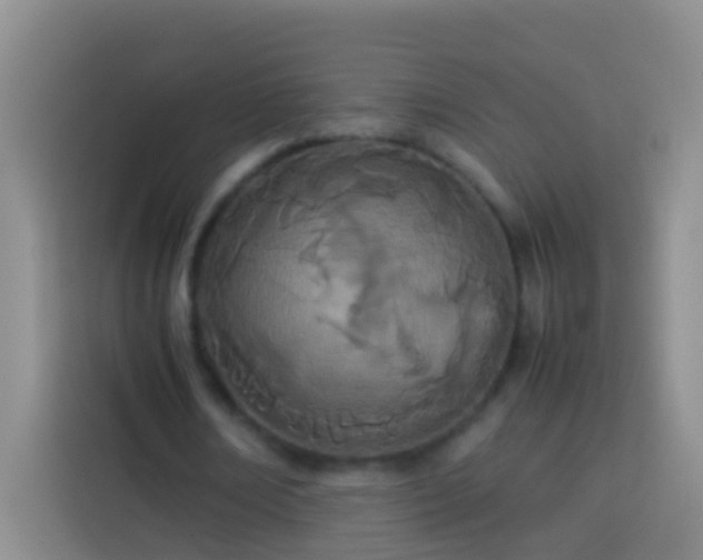 X0000113890674200910011323