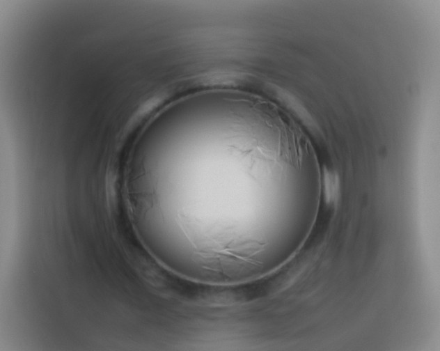 X0000113890675200910011323