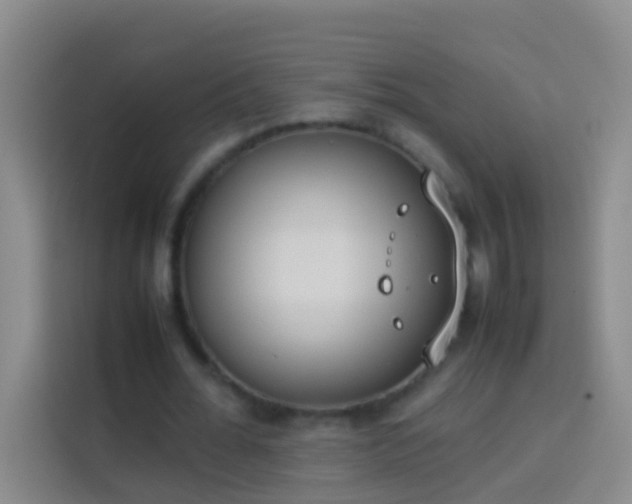 X0000113890676200910011323