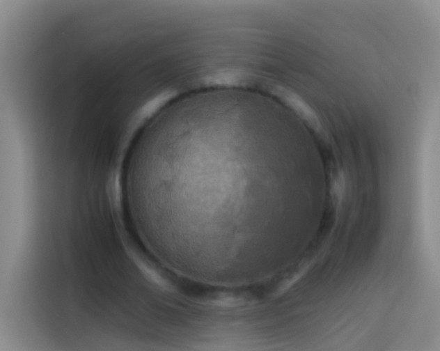 X0000113890678200910011323