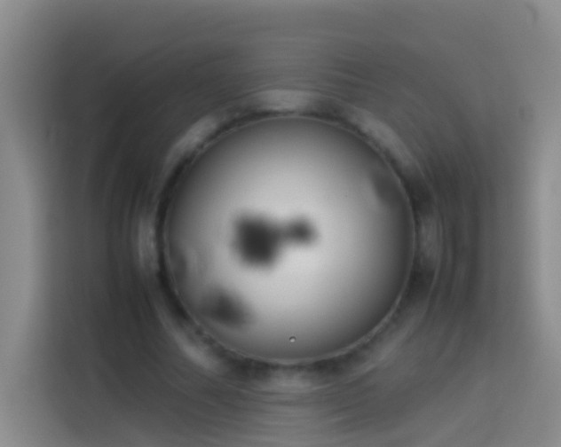 X0000113890682200910011323