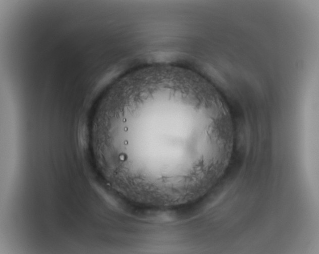X0000113890683200910011323