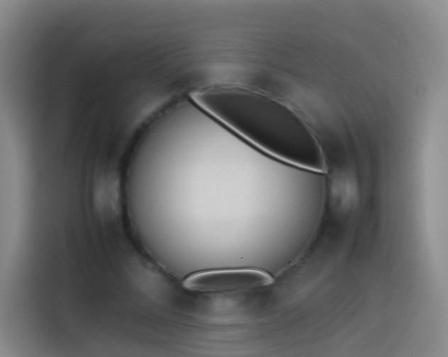 X0000113890684200910011323