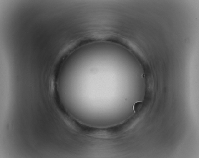 X0000113890685200910011323