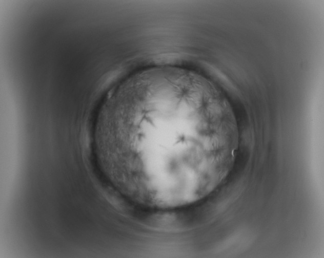 X0000113890687200910011323