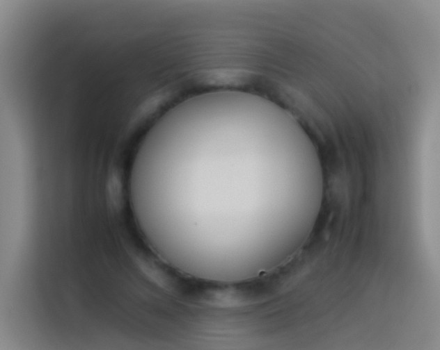 X0000113890688200910011323