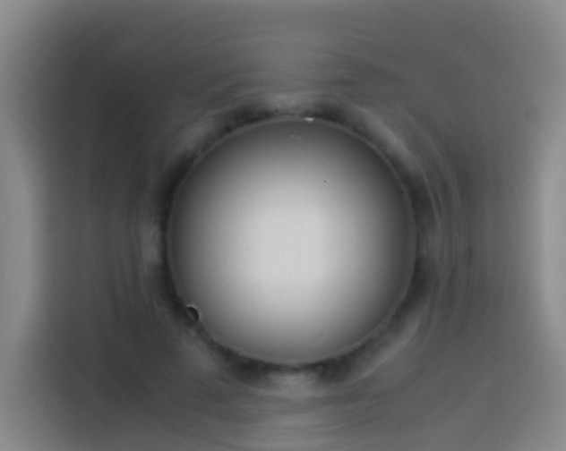 X0000113890689200910011323