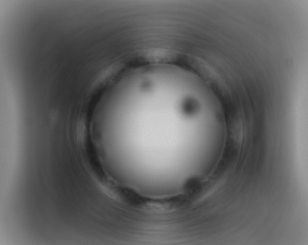 X0000113890690200910011323