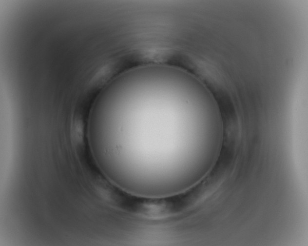 X0000113890693200910011323