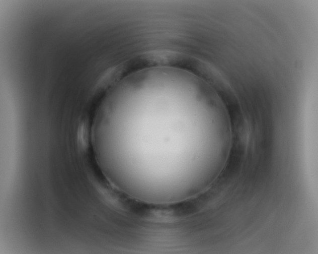 X0000113890694200910011323