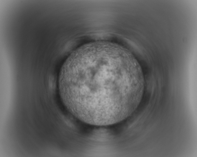 X0000113890695200910011323