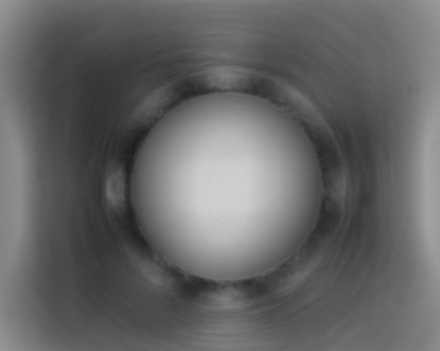 X0000113890696200910011323