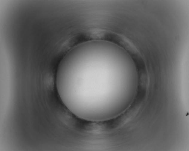 X0000113890697200910011323