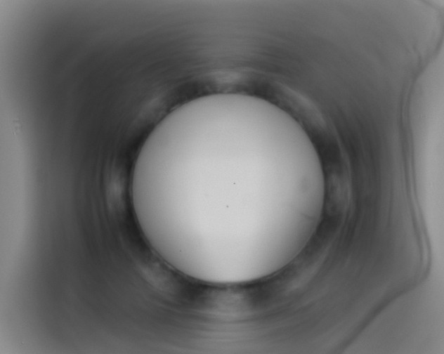 X0000113890698200910011323