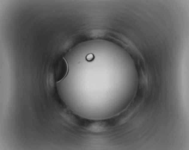 X0000113890700200910011323