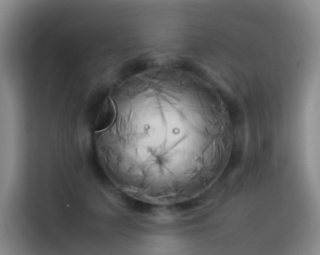 X0000113890703200910011323