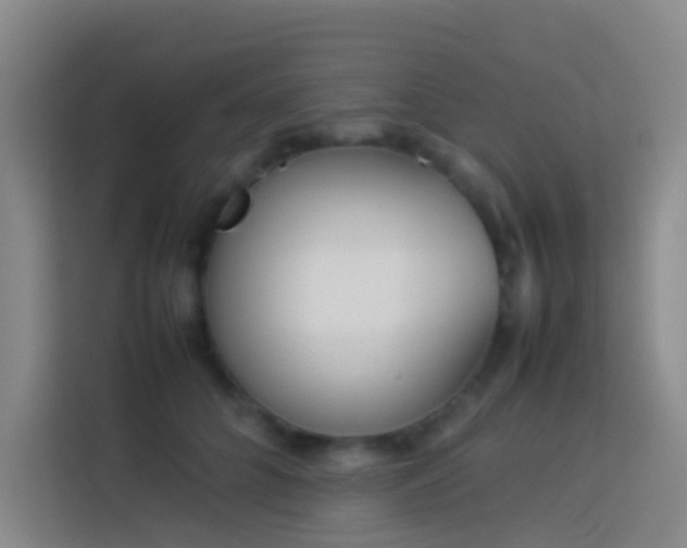 X0000113890704200910011323