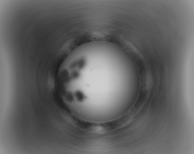 X0000113890706200910011323