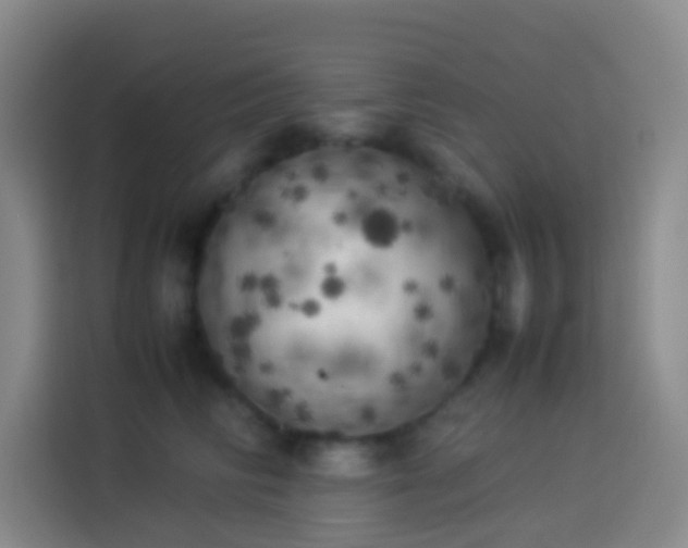 X0000113890710200910011323