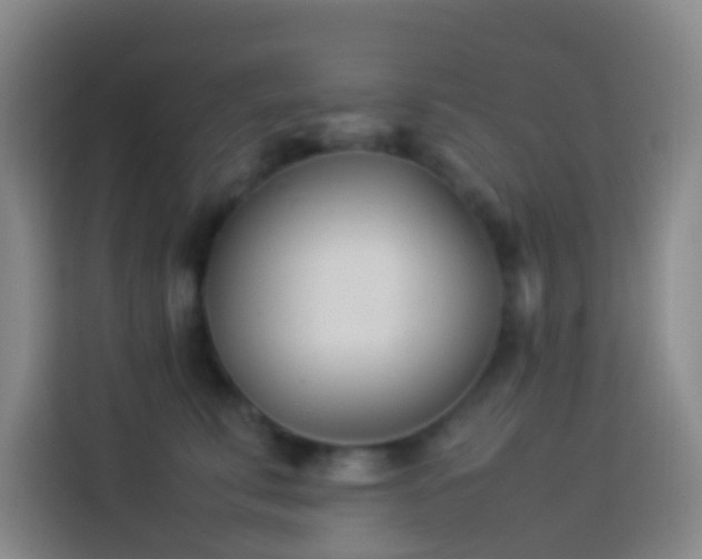 X0000113890711200910011323