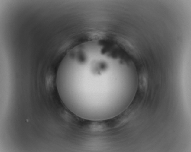 X0000113890714200910011323