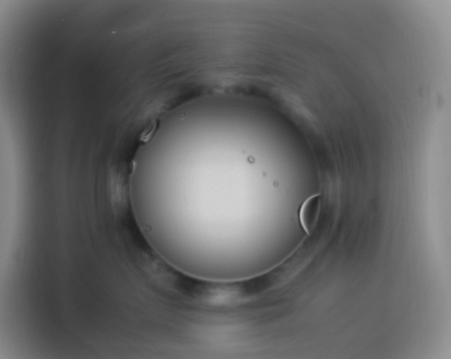 X0000113890719200910011322