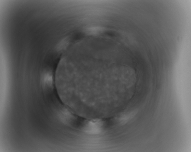 X0000113890720200910011322